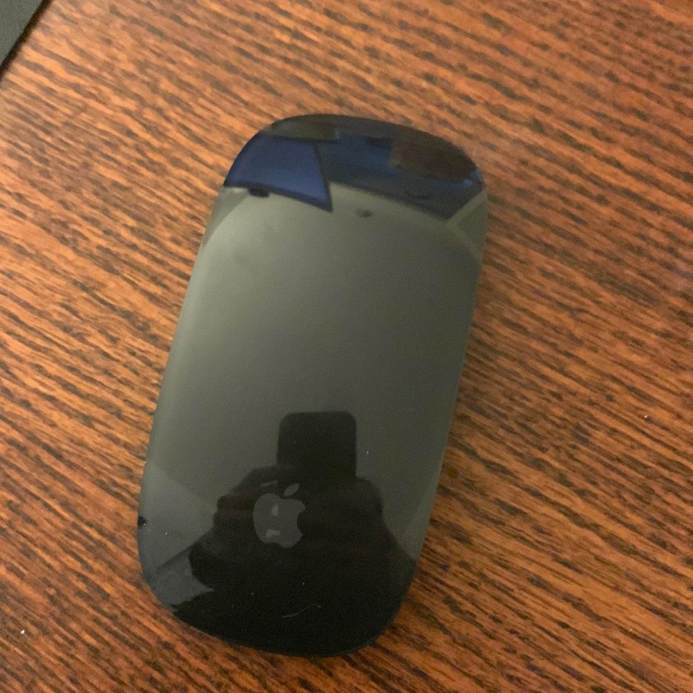 Black apple Magic Mouse